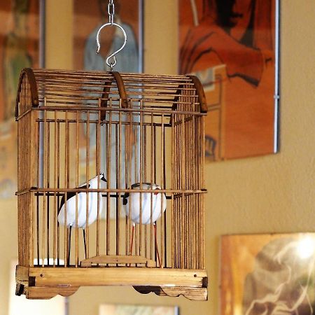 Chambres D'Hotes Le Secret Du Chat Cordes Sur Ciel Kültér fotó